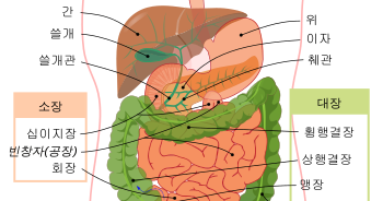Kidari's Blog: 당뇨병과 인슐린