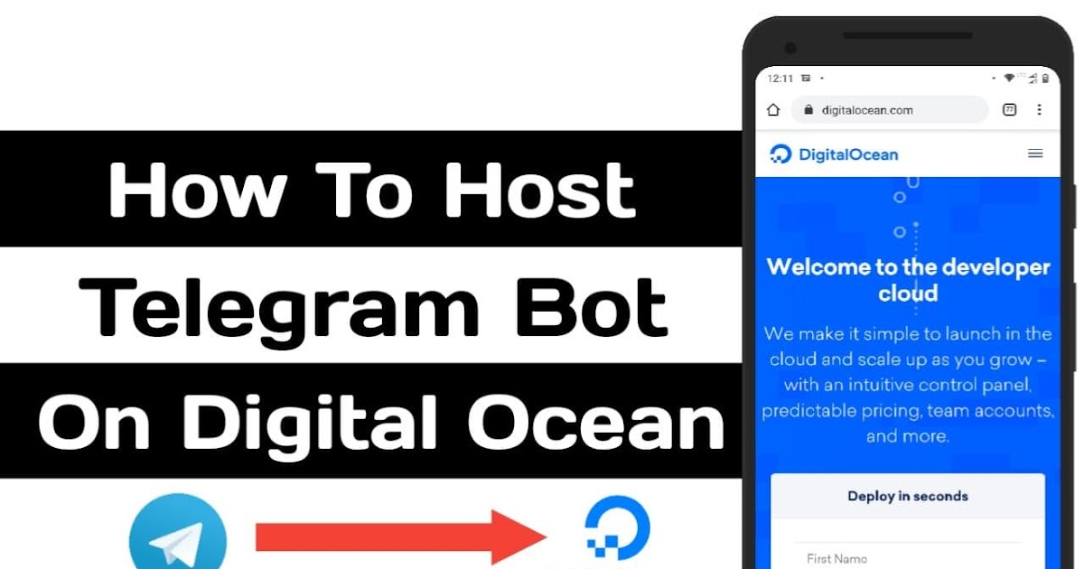 Архитектура telegram бота. Хост телеграм бота. Взаимодействие бота с api. Боты в телеграмме. Telebot api.