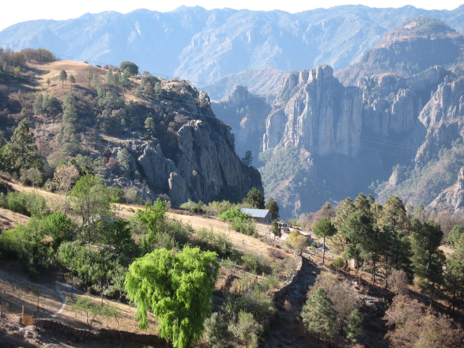 Travels of Finisterra Copper Canyon Train Trip