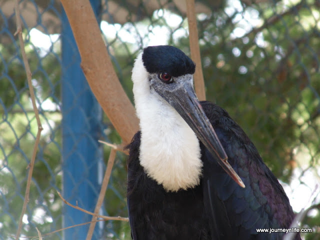 Gulbarga Government Zoo, Karnataka