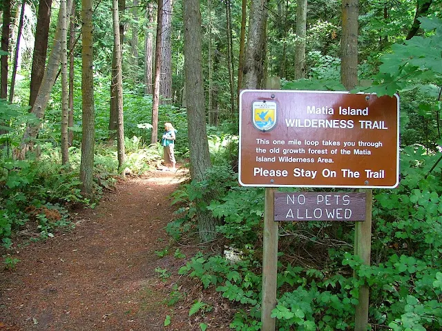 Matia Island one mile trail is special