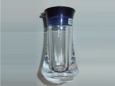 片側面全体像 片側面全体像