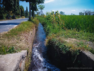 Irrigation Water Channel Along Side Road In Agricultural Area At The Village Ringdikit North Bali Indonesia