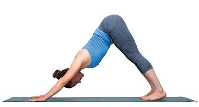 अधोमुख श्वानासन International Yoga Day 2023