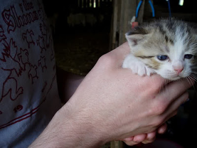  holding cute kitten 