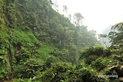 curug seribu bogor