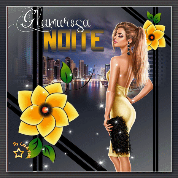 novo23-%2528MB%2529maryluz.gif