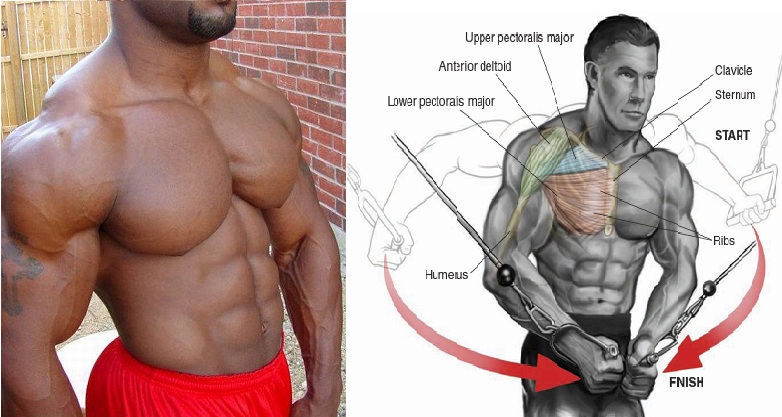shoulder cable crossover shoulder cable crossover