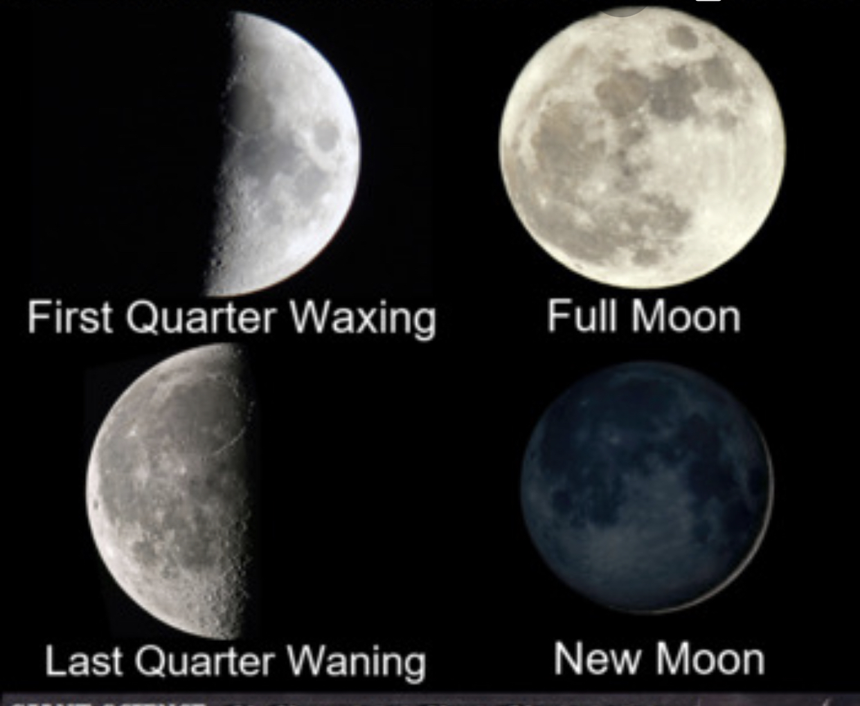 Waxing Moon Define Science
