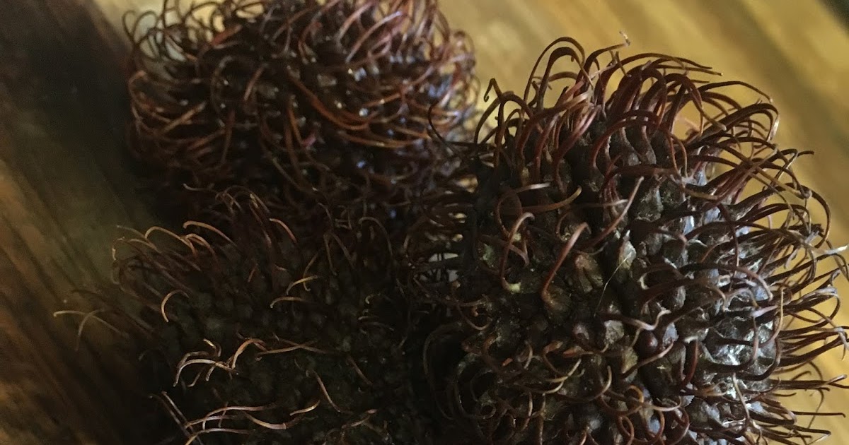 Handmade and Homegrown Weird Hairy Fruit