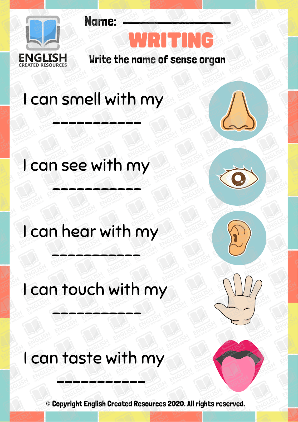 The Five Senses Worksheets - English Created Resources