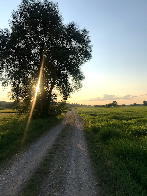 Niby dni długie, ale przez dużą ich część nie da się wyjść na zewnątrz i biegać (przynajmniej wg mnie).