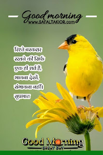 250+whatsapp good morning suvichar in hindi | good morning suvichar in hindi sms | Good morning quotes hindi images & photo