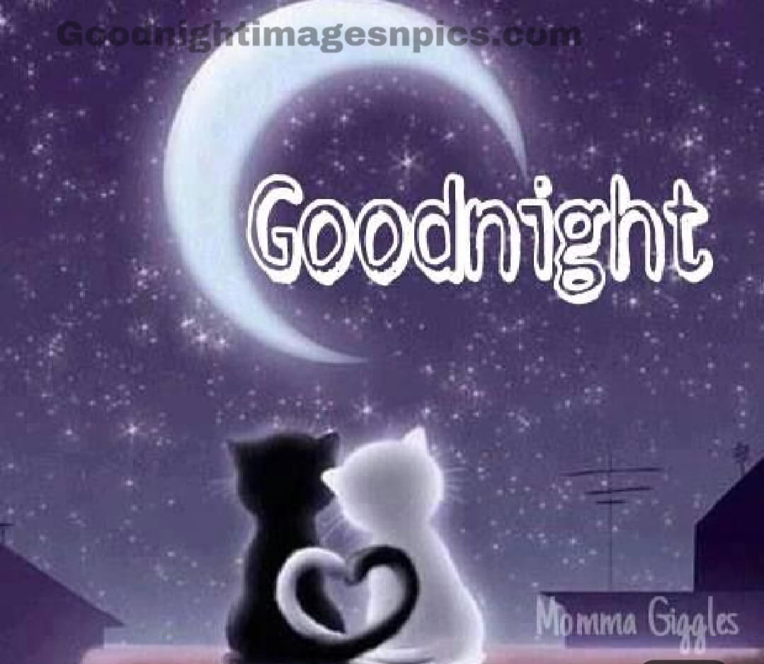 Beautifull Good Night Pics Beautifull Good Night Pics