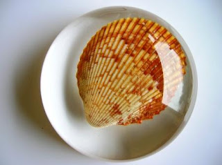 Seashell resin paperweight