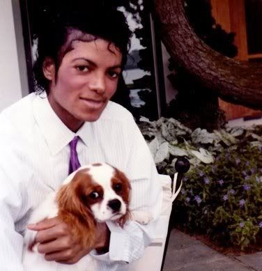 Michael Jackson photo  