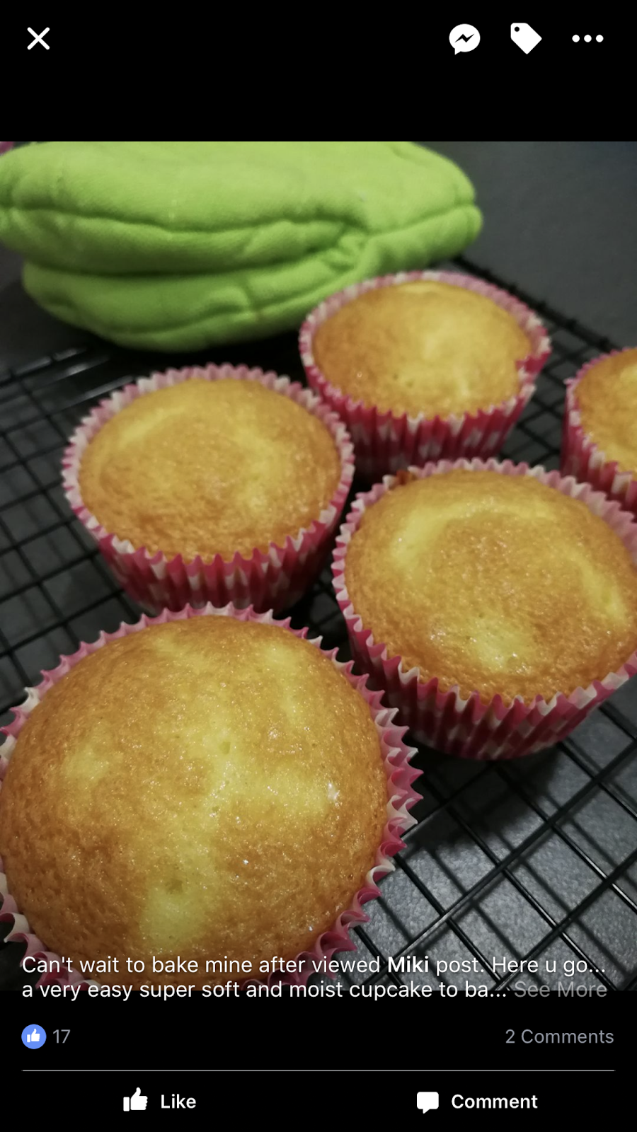 Miki's Food Archives Traditional Baked Egg Cake 老式鸡蛋糕（烘烤）