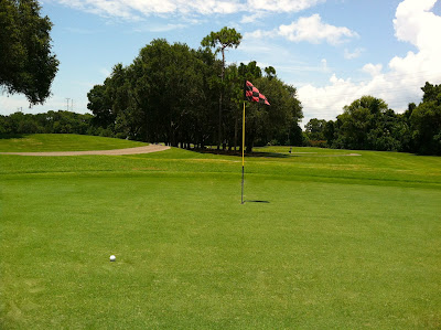 Innisbrook Copperhead