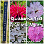 Rhododendron Trail