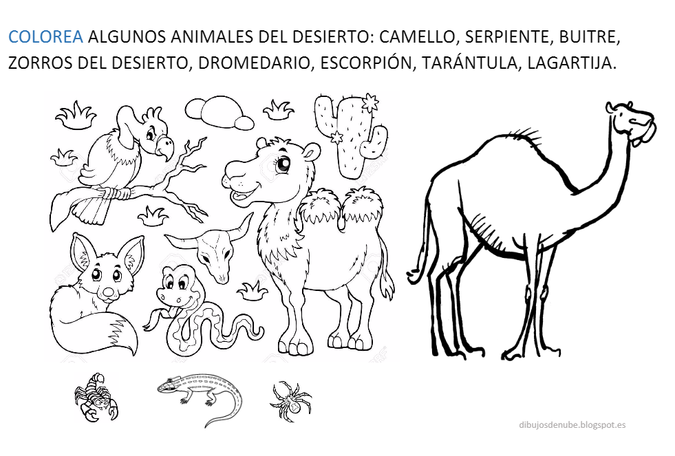 4 años: Proyecto el desierto. Imprimibles y Caja Sensorial.