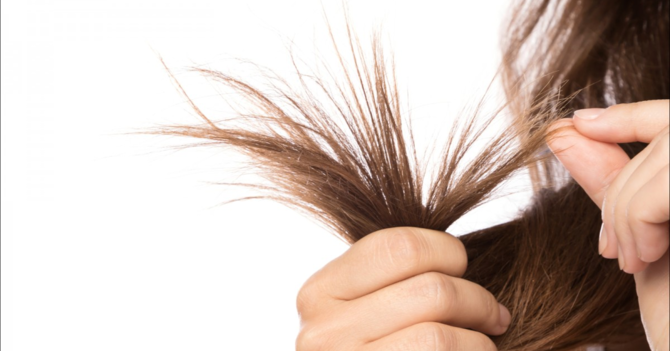 Cara Mengatasi Rambut Kering yang Mudah Dilakukan - MbahTekno