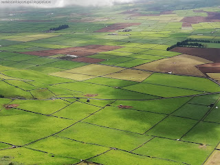 PORTUGAL / Views, Ilha Terceira, Açores, Portugal