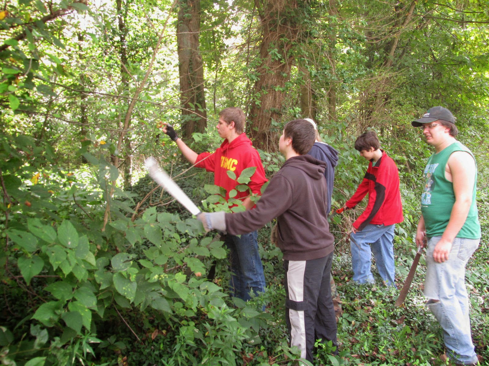Youth Volunteers in Action Conservation project