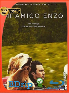 Mi Amigo Enzo (2019) BDRIP 1080p Latino [GoogleDrive] SXGO