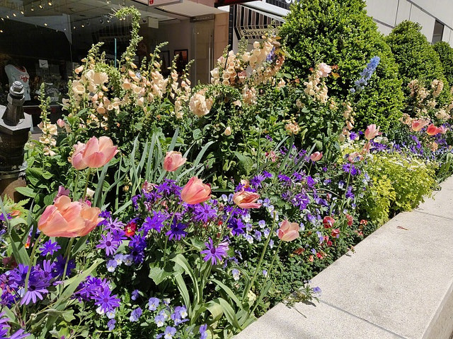 مواصفات oneplus 6 - سعر وتاريخ الاعلان الرسمي للهاتف