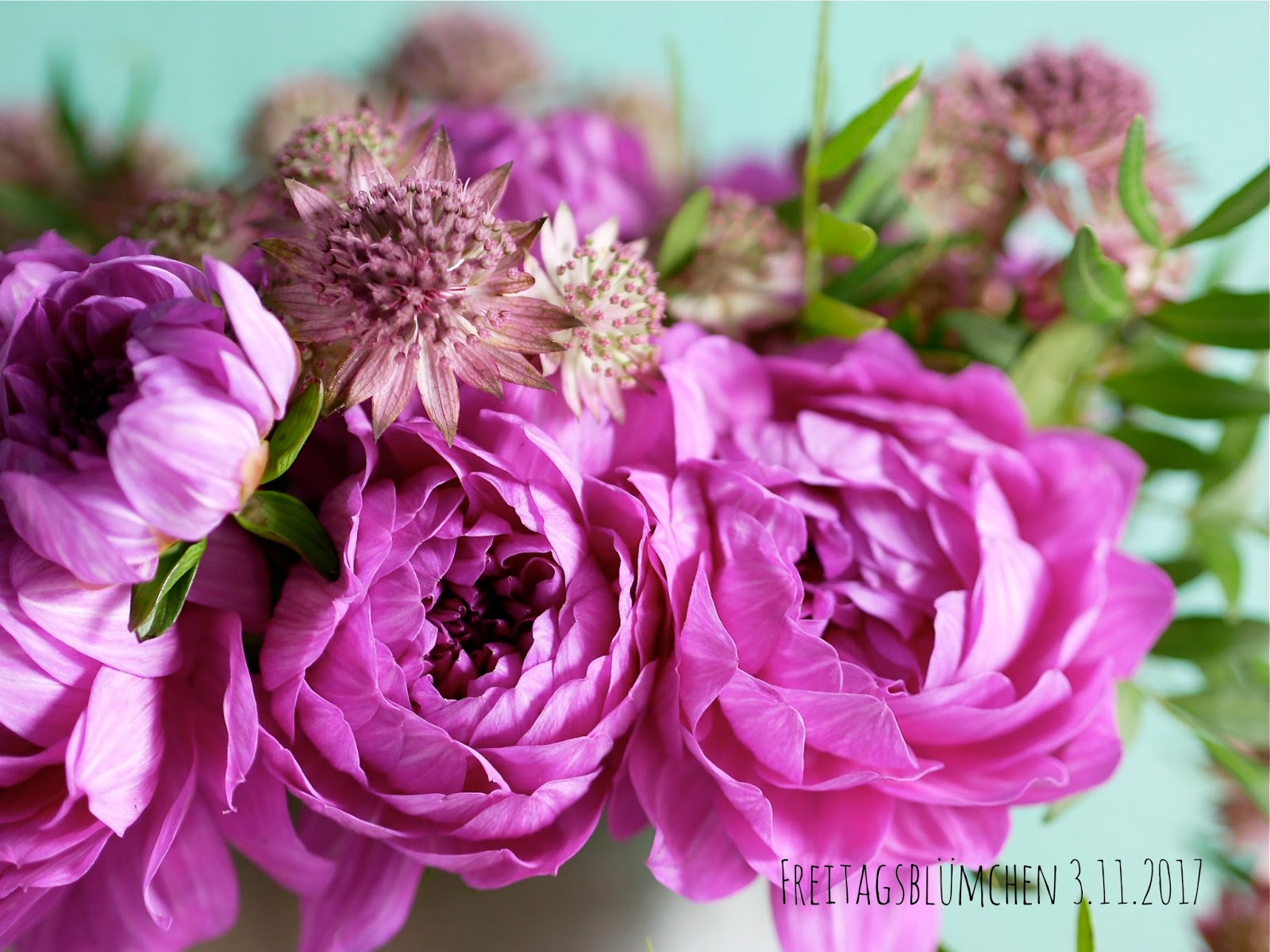 Achimsgarten Der Selbstversorger Und Garten Blog Page 5 Chan