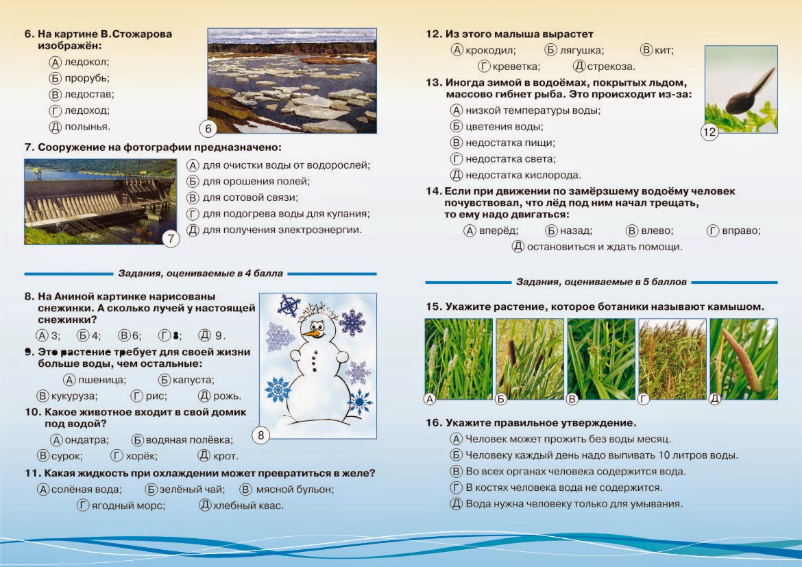 Кубок гагарина задания прошлых лет с ответами. Конкурс чип задания. Чип конкурс задания прошлых лет. Конкурс человек и природа задания. Астра 2 класс задания