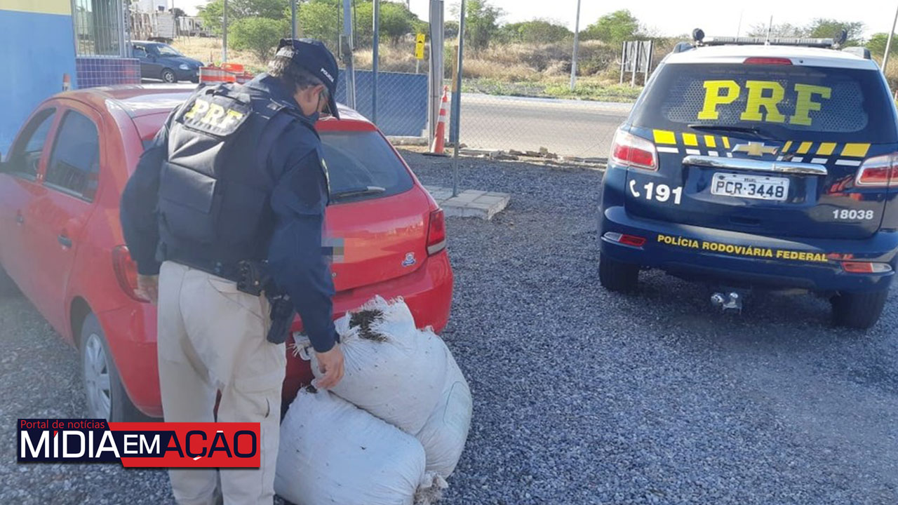Homens são presos com 40 kg de maconha dentro de carro em Serra Talhada