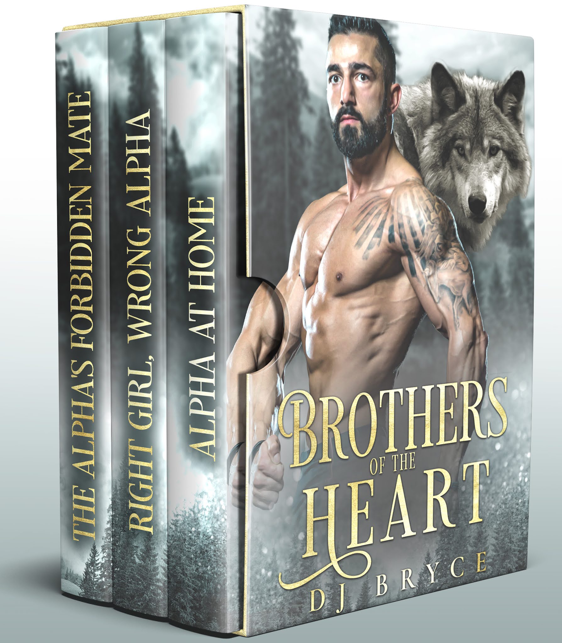 Bethany Lopez Brothers of the Heart Box Set 0.99 Sale!