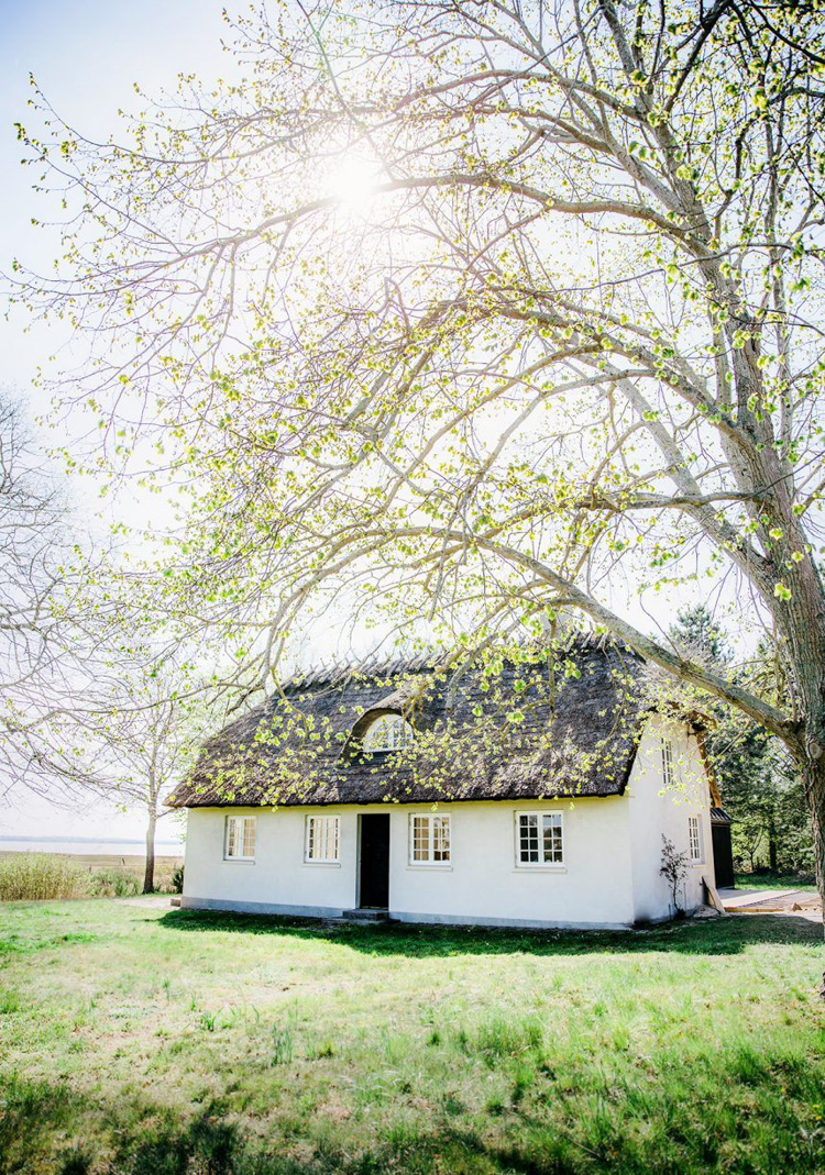 Modern Bedroom Refresh