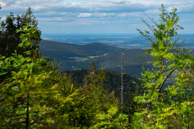 Kaitersberg Panoramaweg Ar06 | Wandern im Lamer Winkel im Bayerischen Wald 14