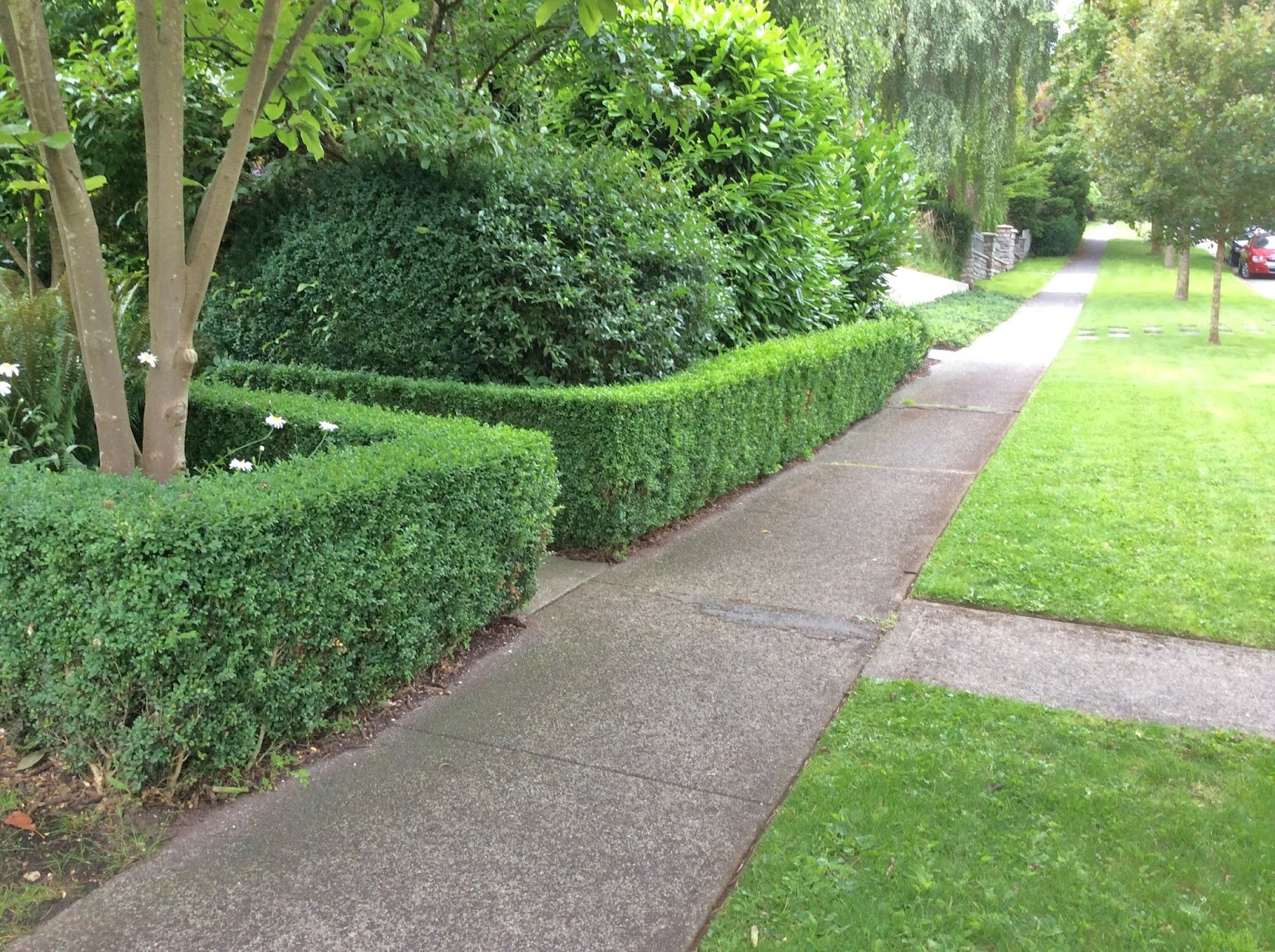 Views From Mount Dunbar Three inches of hedge too much