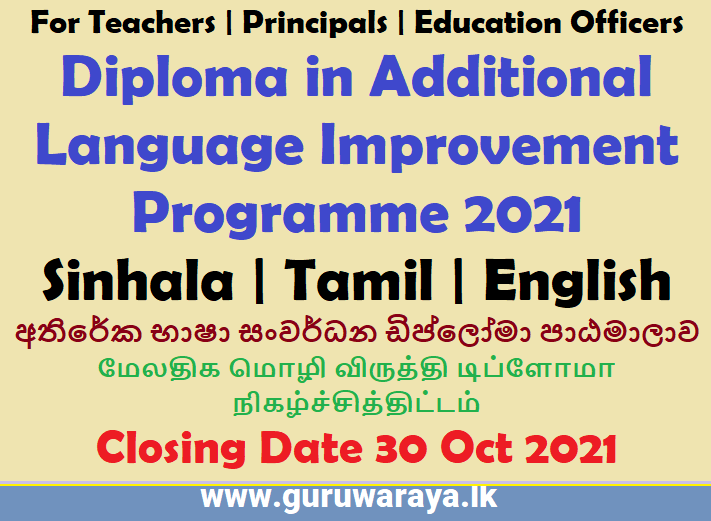 Diploma in Additional Language Improvement programme 2021 - NIE