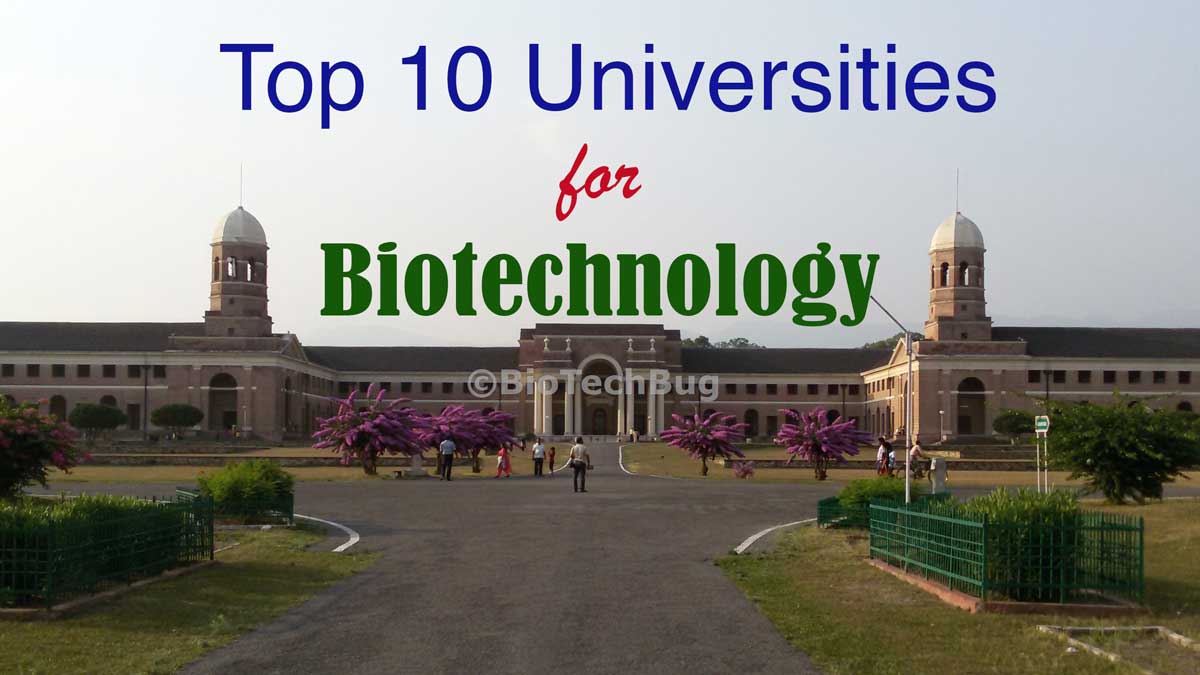 Top 10 Universities for Biotechnology in India