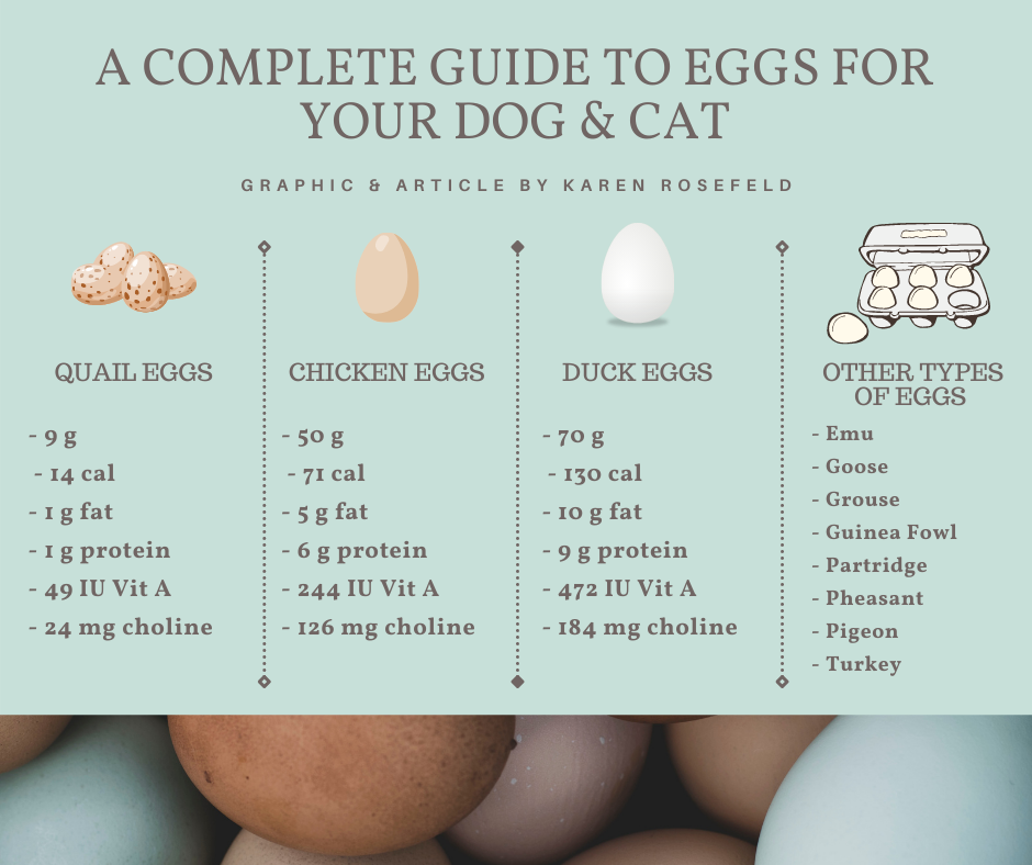 Ottawa Valley Dog Whisperer eggs nutritional value