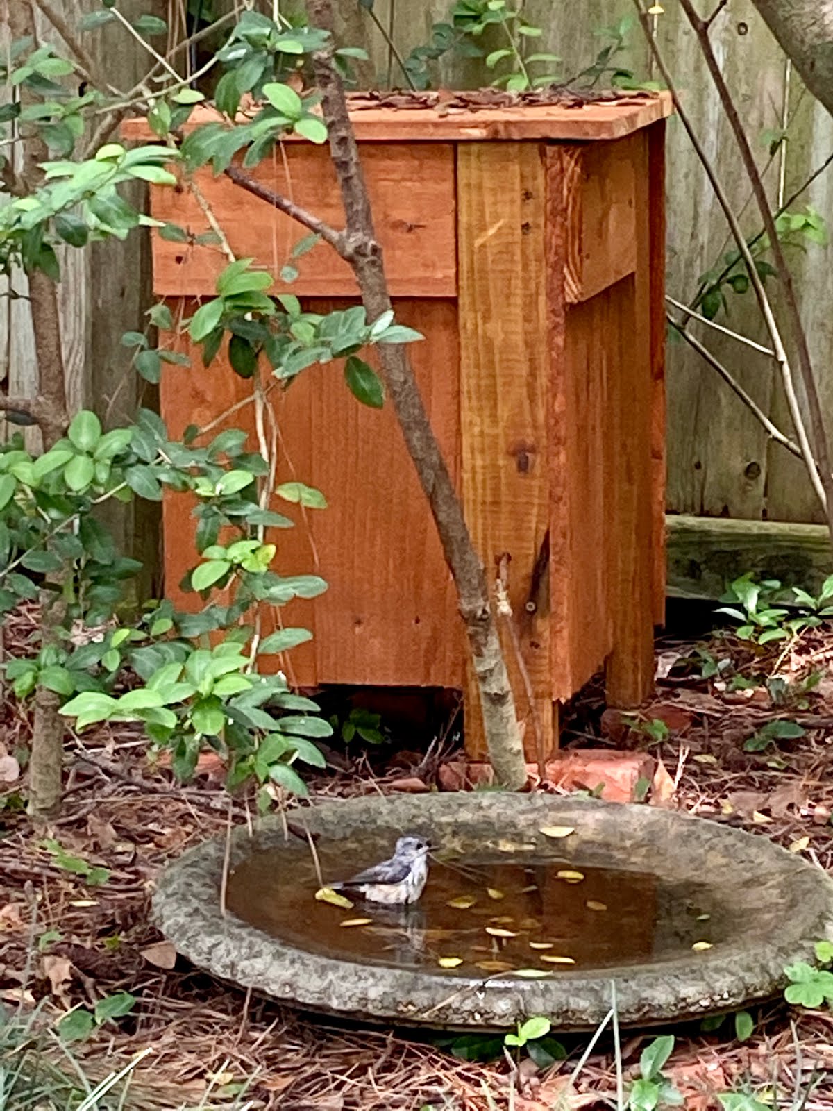 How to DIY a Dripper for birds