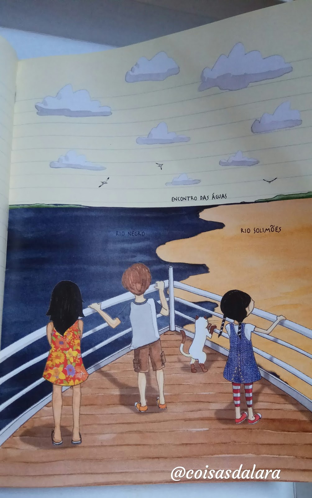 COISAS DA LARA: Resenha Diário de Pilar na Amazônia