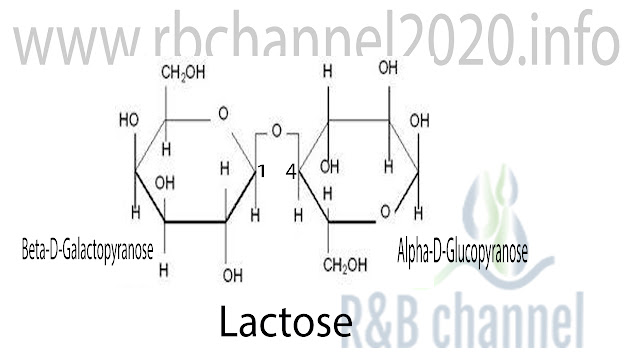 اللاكتوز Lactose