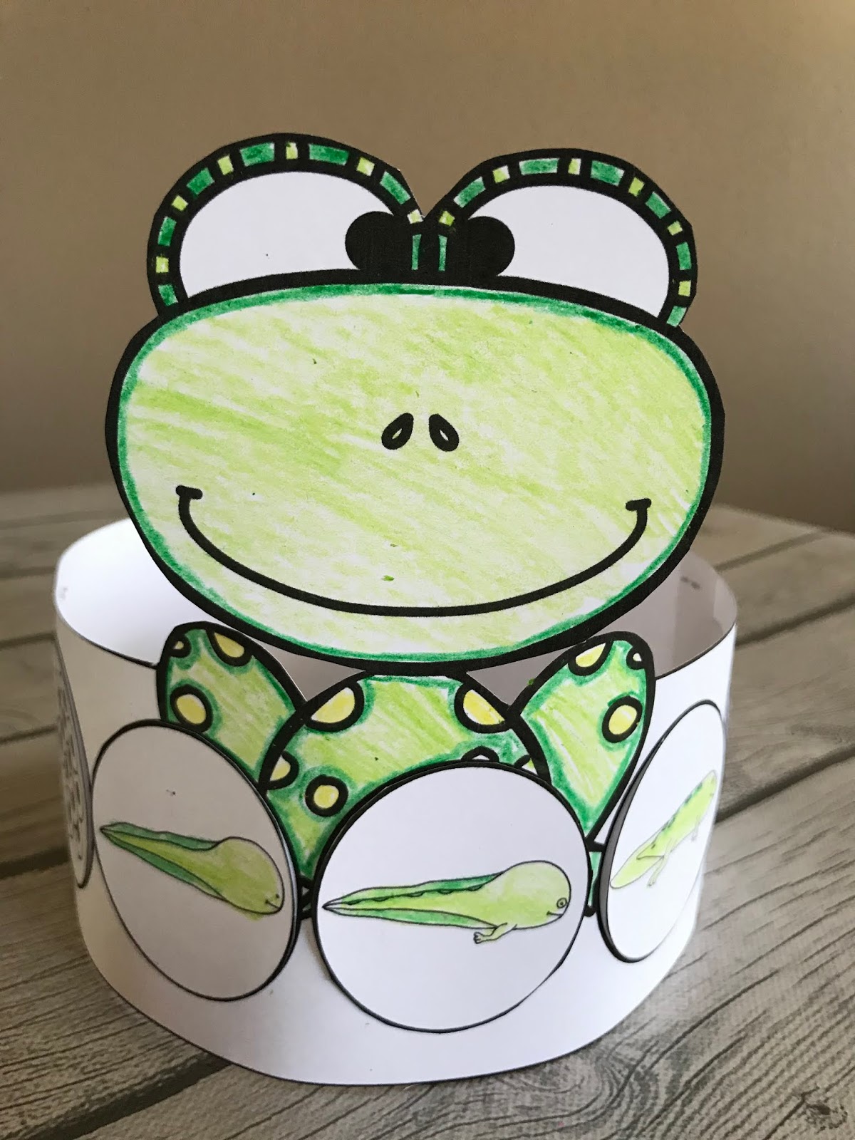 Life Cycle Hats (Frog, Butterfly, Chicken, Plant) Mrs. McGinnis' Little Zizzers