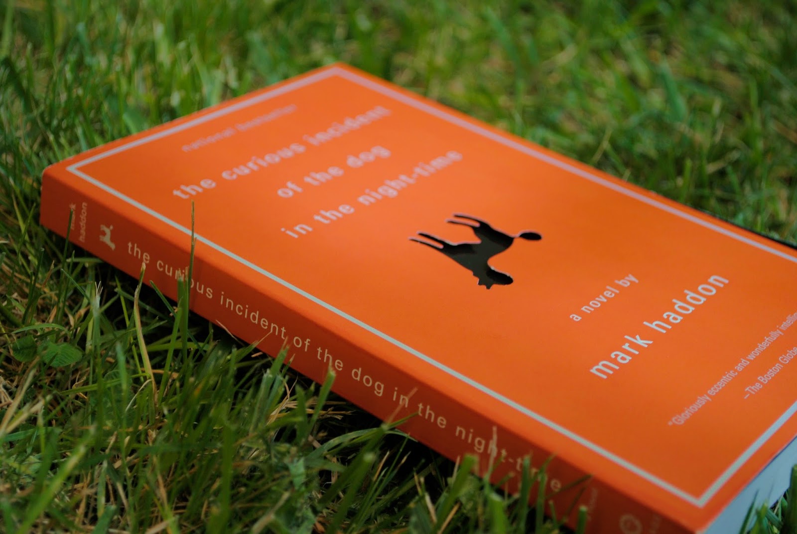 Book Review // The Curious Incident of the Dog in the Night-Time by