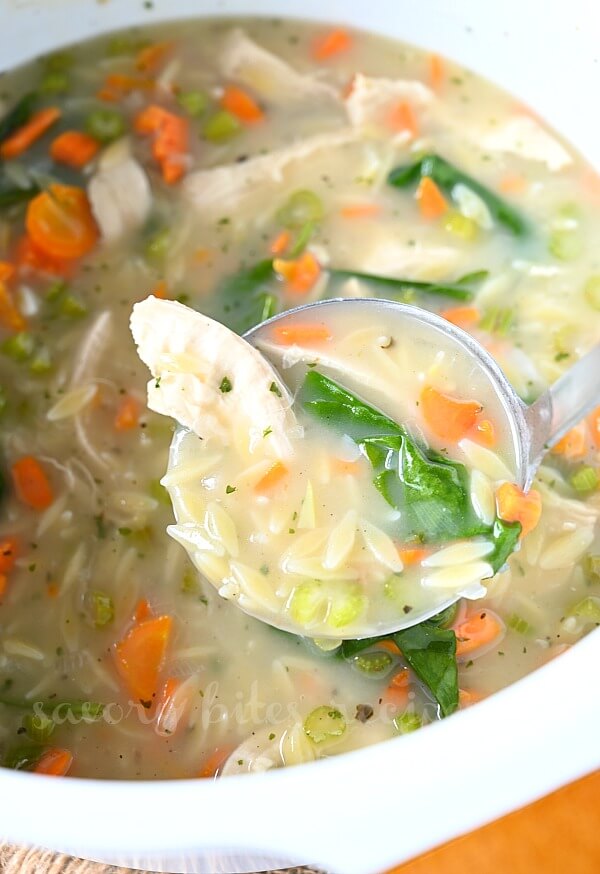 a soup ladle with chicken orzo soup with spinach,carrot and celery