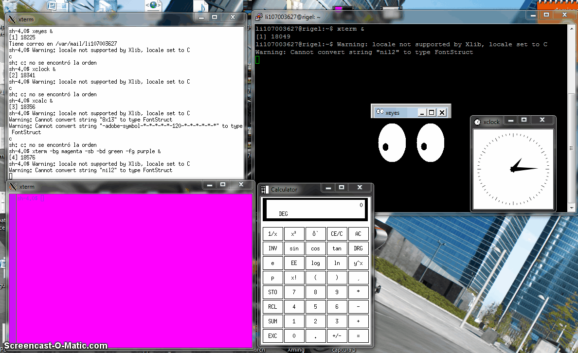 FCA_1191_PAEA screencaps Xterm
