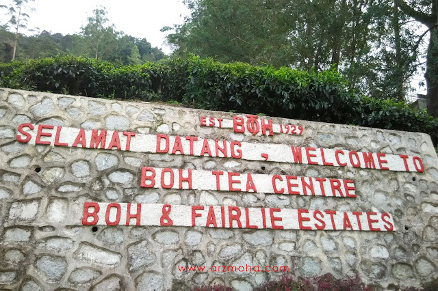 ladang teh boh, boh tea plantation, cameron highlands