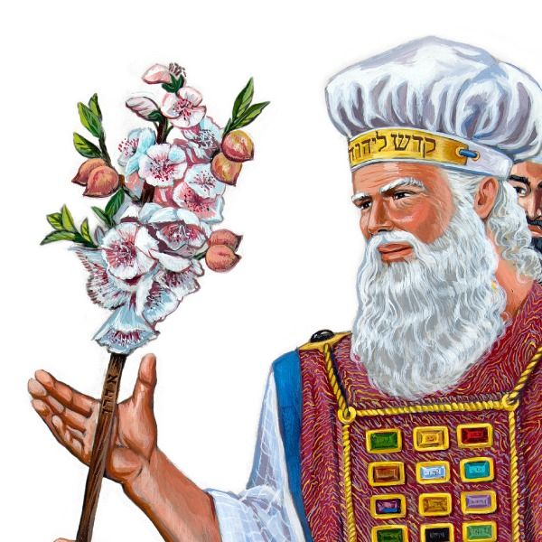 Meaning of Aaron in The Bible