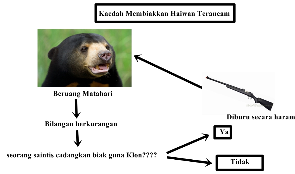 ScienceBio: Pemeliharaan dan Pemuliharaan Beruang Matahari