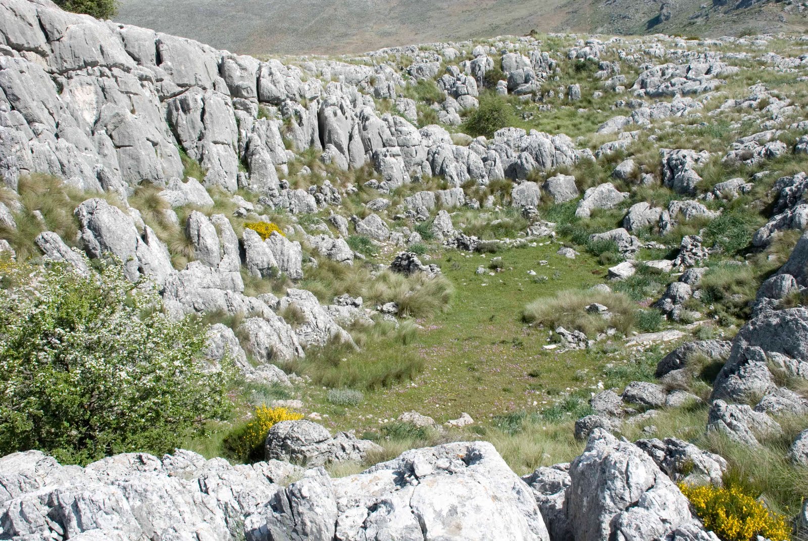 Senderismo por la Montaña Penibética Por la Sierra de Loja